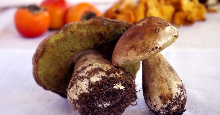 ue-riduce-livelli-contaminanti-cancerogeni-negli-alimenti