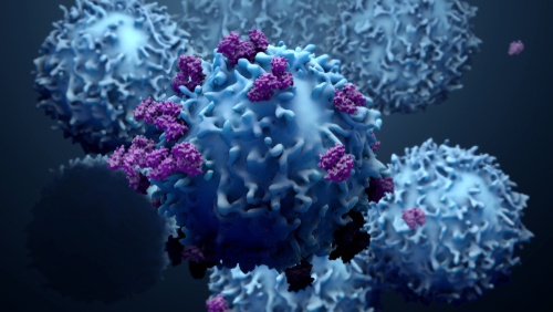 scoperto-meccanismo-che-permette-alle-cellule-tumorali-di-resistere-alla-chemioterapia
