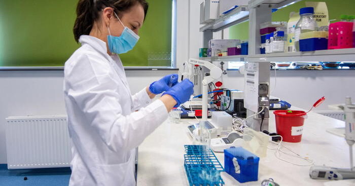 terapia-con-rna-elimina-melanoma-in-topi,-ora-i-test-clinici