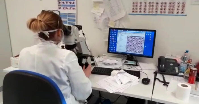 scoperto-legame-tra-infiammazione-e-sviluppo-tumore-pancreas