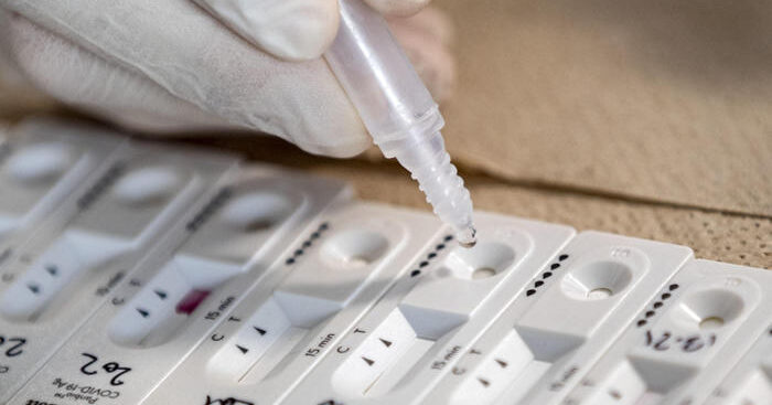 green-pass:-gimbe,-+57%-tamponi-in-un-mese,-e-rischio-caos