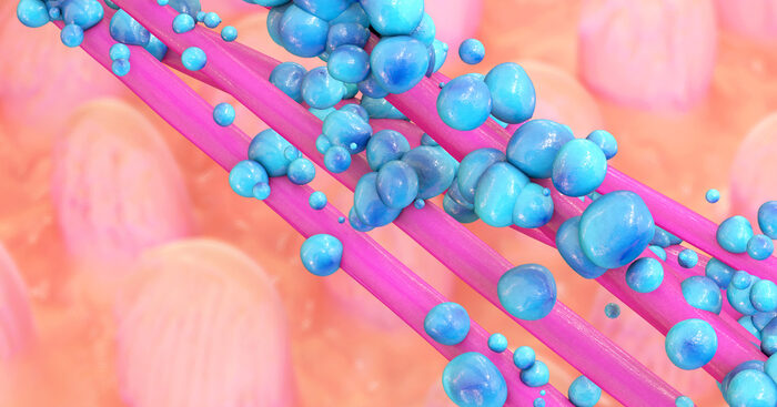 mattiniero-o-tiratardi?-e-scritto-nell’intestino