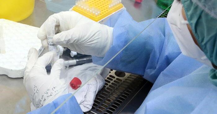 omicron:roche,kit-per-individuarla,-per-ora-solo-per-ricerca
