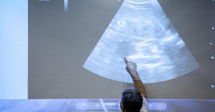 covid-in-gravidanza-non-danneggia-sviluppo-neurologico-bimbo