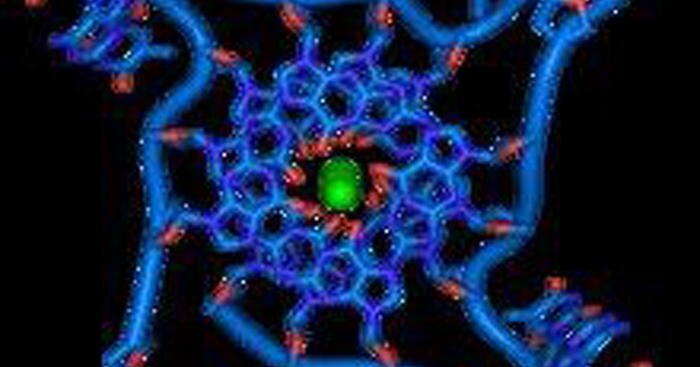 isolato-gene-protettivo-che-difende-dal-covid-in-forma-grave