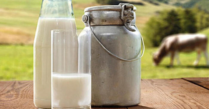 latte-e-yogurt-preziosi-per-la-salute,-con-3-dosi-al-giorno