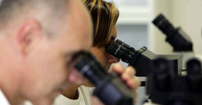 tumore-pancreas:-immunoterapia-sperimentale-riduce-metastasi