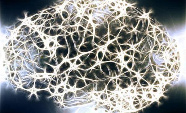 cervello-e-malattie-neurodegenerative,-il-14%-dei-casi-di-alzheimer-attribuibili-al-fumo-di-sigaretta