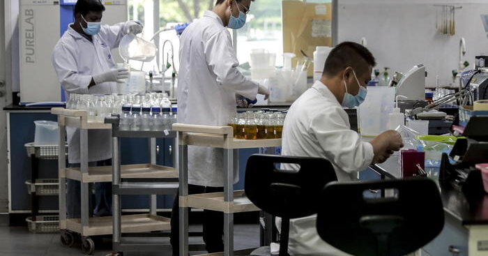 efficace-un-vaccino-anti-cancro,-istruisce-sistema-di-difesa
