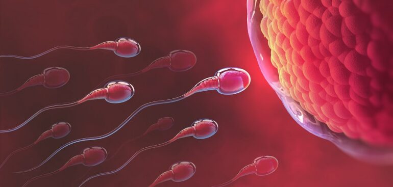 calo-nascite,-per-diagnosi-infertilita-l’oms-introduce-l’esame-del-dna-sugli-spermatozoi
