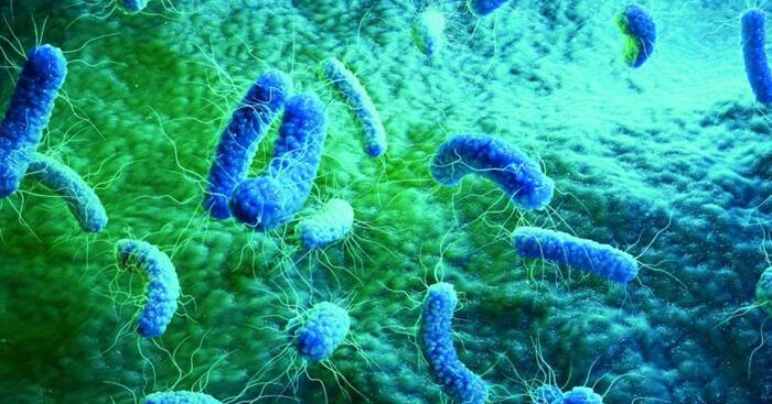 ecdc,-italia-seconda-in-ue-per-morti-da-batteri-resistenti