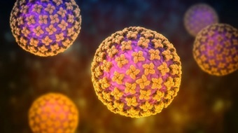 kiwira-virus:-rilevato-in-africa-un-nuovo-hantavirus-trasmesso-dai-pipistrelli