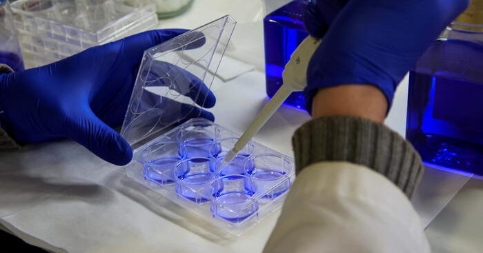 tumori-pancreas,-950-mila-euro-per-progetto-sviluppo-vaccino