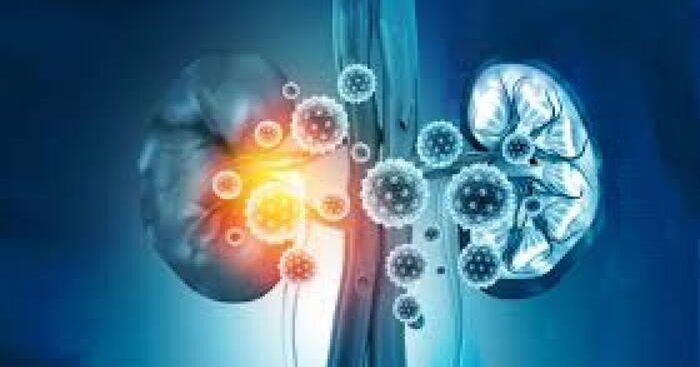 singapore,-primo-trattamento-che-rigenera-reni-danneggiati