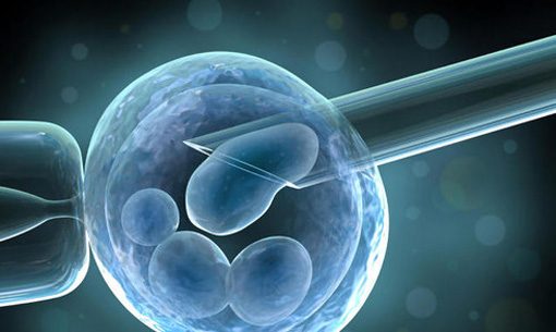 fertilita:-con-nuova-tecnica-su-tessuto-ovarico-possibile-la-maternita-per-pazienti-oncologiche-guarite