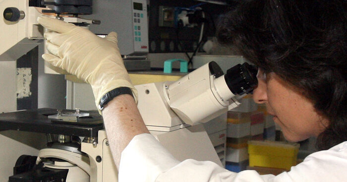 tumori:-cnr,-un-fascio-di-luce-scopre-le-cellule-cancerose-nel-sangue