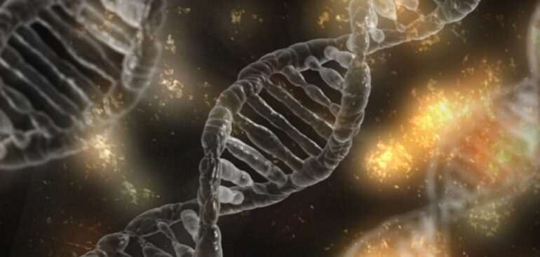 scoperti-i-meccanismi-genetici-alla-base-delle-malformazioni-agli-arti