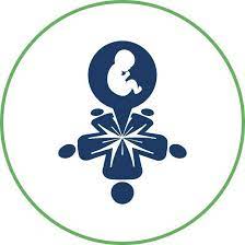 infertilita,-alleanza-fimmg-siru-per-promuovere-prevenzione-e-diagnosi-precoce