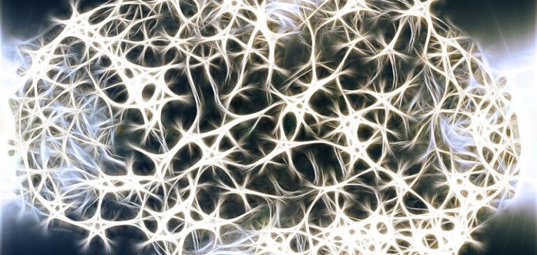 cervelli-virtuali-in-3d-e-intelligenza-artificiale,-olivi:-«ecco-la-rivoluzione-della-neurochirurgia»