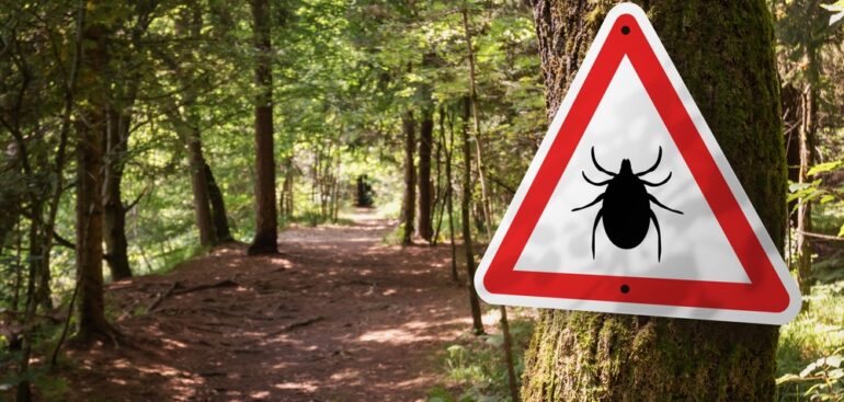 virus-mortale-colpisce-il-regno-unito.-tre-persone-morte-per-encefalite-da-zecca