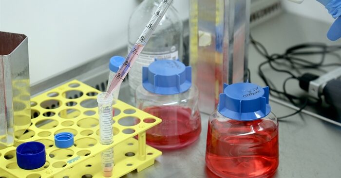 bernini,-e-confermato-l’aumento-del-30%-dei-posti-a-medicina