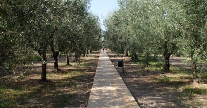 al-gemelli-di-roma-nasce-il-giardino-dei-semplici
