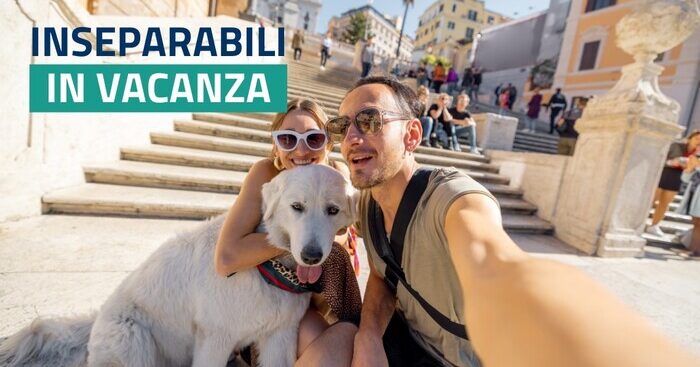 uno-scatto-insieme-contro-l’abbandono,-‘inseparabili-in-vacanza’
