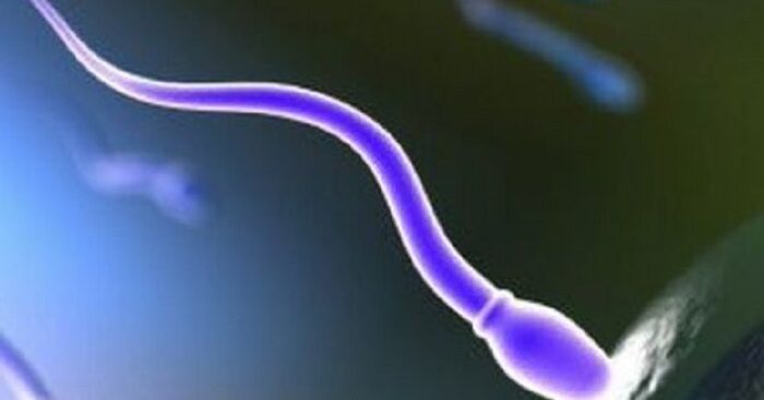 la-qualita-e-motilita-degli-spermatozoi-e-migliore-in-estate