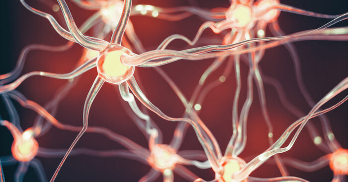 alzheimer,-il-vaccino-sperimentale-funziona-nei-test-preclinici
