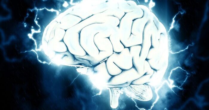 un-codice-a-barre-per-tracciare-lo-sviluppo-del-tumore-al-cervello:-cosi-cresce-il-glioblastoma