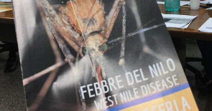 febbre-del-nilo,-primo-caso-in-sardegna-su-uomo-di-72-anni
