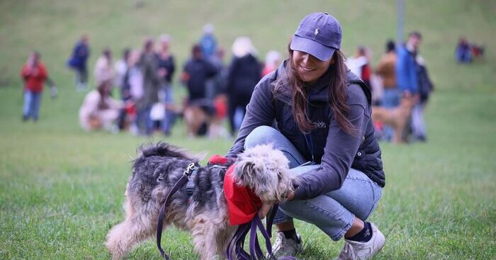 mantiene-in-forma-e-scaccia-la-solitudine,-i-benefici-di-un-cane