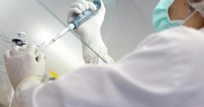 ecdc,-focolai-di-salmonella-in-11-paesi-dell’ue-ma-non-in-italia