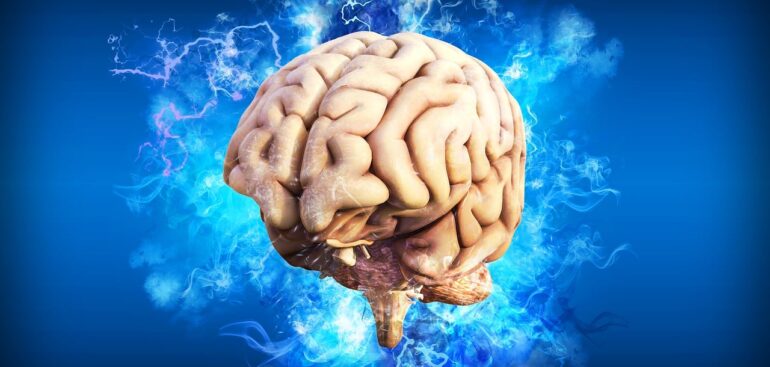 terremoto-nelle-neuroscienze,-scoperta-un-nuovo-tipo-di-cellula