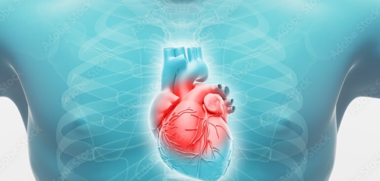 un-modello-matematico-del-cuore-rivoluzionera-la-ricerca-sulle-patologie-cardiache