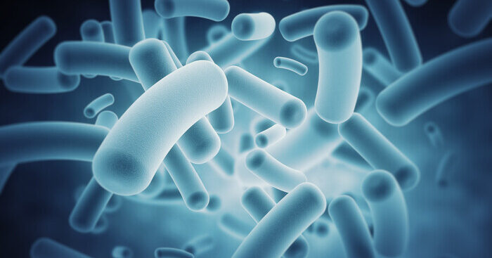 tumori,-cosi-i-batteri-dell’intestino-potenziano-l’immunoterapia