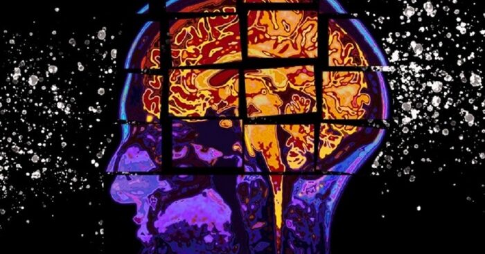 il-web-e-4-app-contro-le-demenze,-al-via-il-progetto-e-memory-care