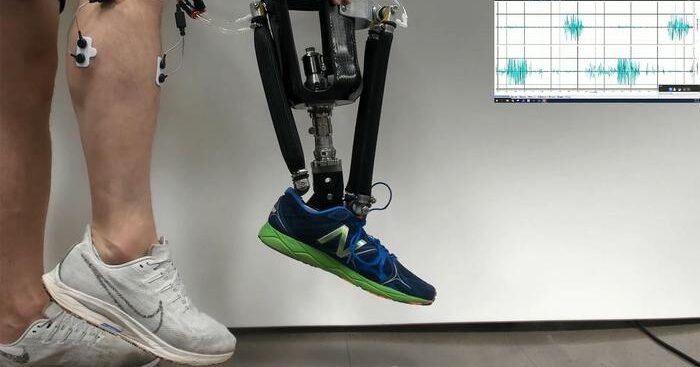 nuova-caviglia-robotica-rende-i-movimenti-degli-amputati-piu-“naturali”