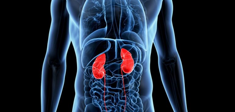 malattia-renale-cronica,-al-via-weekidney:-il-nefrologo-nello-studio-del-medico-di-famiglia-per-consulenze-gratuite