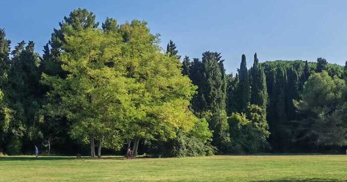 a-pesaro-il-primo-parco-della-salute-certificato