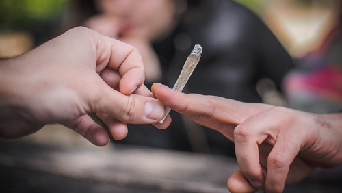 cannabis:-1-consumatore-su-3-sviluppa-disturbi-clinici-e-sociali
