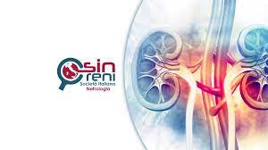 malattia-renale-cronica,-i-nefrologi-sin:-“seguire-la-dieta-amica-dei-reni-anche-a-natale”