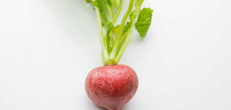 malattie-tiroidee-e-renali,-micro-ortaggi-coltivati-su-misura:-ricchi-di-iodio-e-poveri-di-potassio