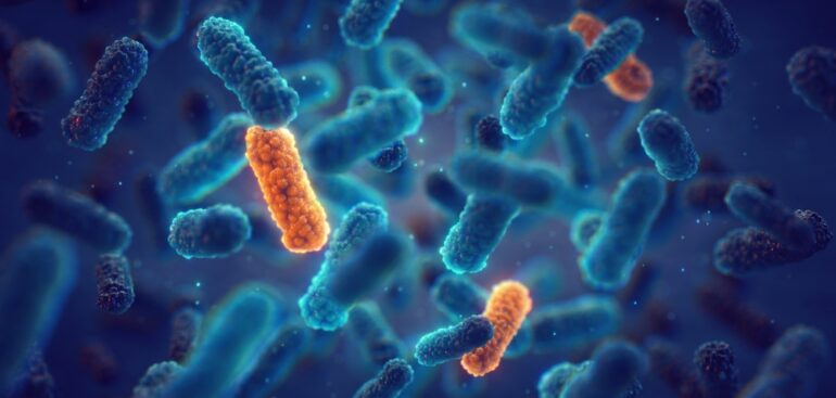 superbatteri-resistenti,-l’allarme-degli-infettivologi:-“11-mila-morti-all’anno”