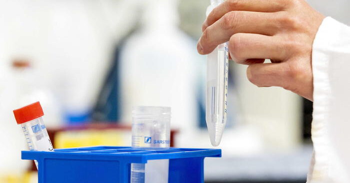 ok-aifa-a-immunoterapia-per-tumore-vie-biliari-ed-epatocarcinoma