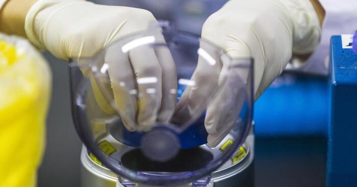 screening-del-dna-neonatale,-i-risultati-del-progetto-rings