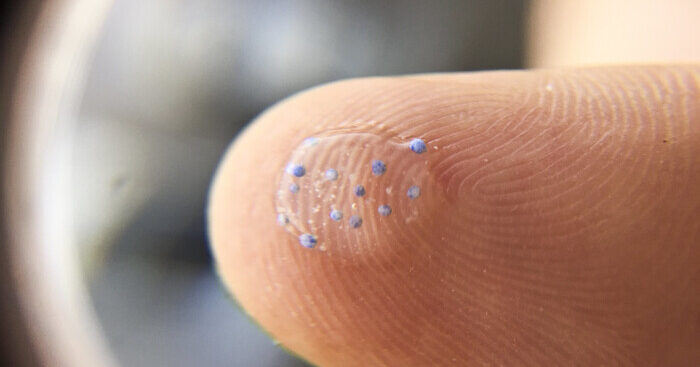 le-microplastiche-minacciano-anche-il-patrimonio-genetico