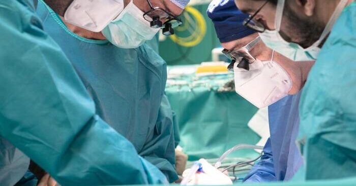 in-italia-8mila-pazienti-in-lista-di-attesa-per-un-trapianto.-oggi-la-giornata-nazionale-della-donazione-d’organi