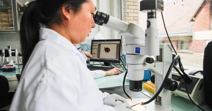 al-candiolo-la-biobanca-con-128-mini-tumori-creati-in-laboratorio