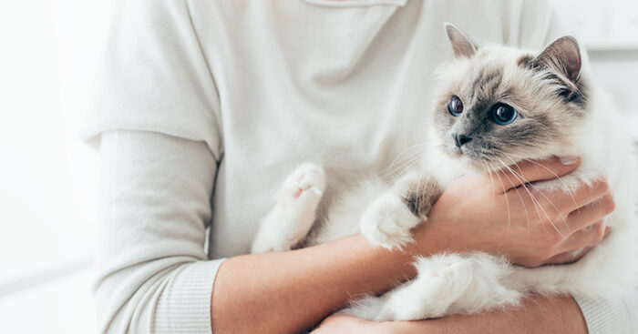 pet,-per-l’88%-degli-italiani-contribuisce-al-benessere-dei-piu-fragili